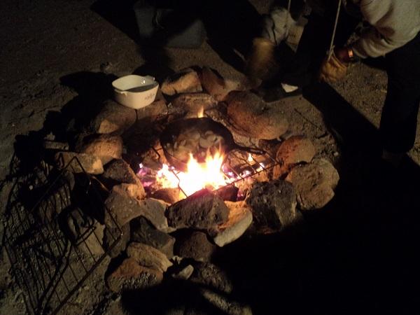 Campfire cooking with wood access.jpg