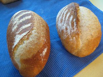 bread_comparison.jpg