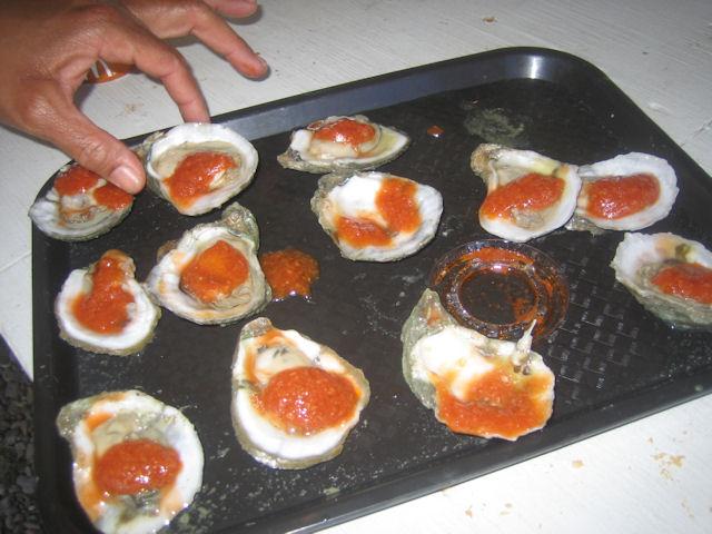 15-oysters.JPG