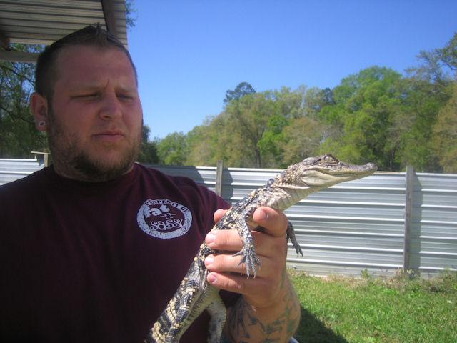 T-Mike holding a baby alligator.JPG