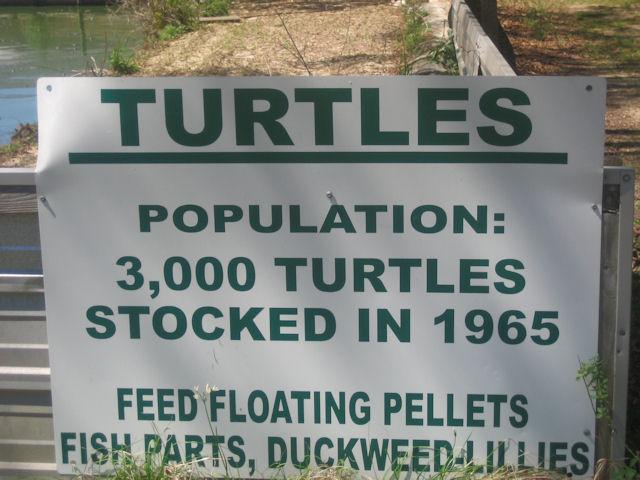 turtle sign.JPG