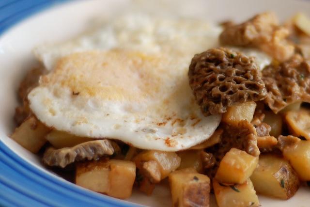 Morel hash.jpg