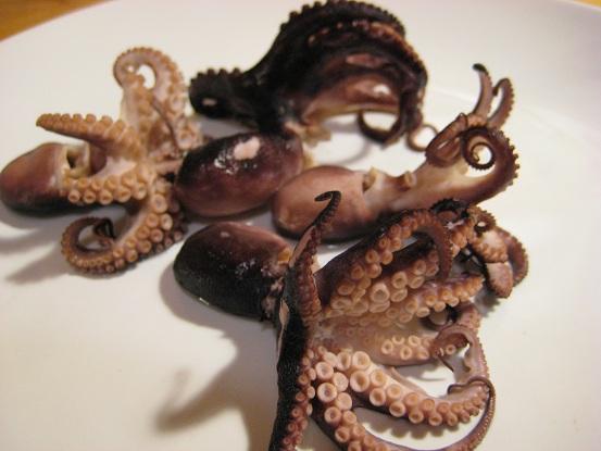 Cook-Off 62: Squid, Calamari and Octopus - Page 2 - Cooking - eGullet Forums