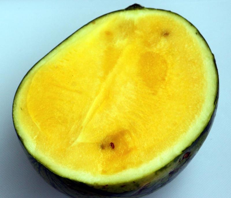 yellow flesh water melon1024.jpg