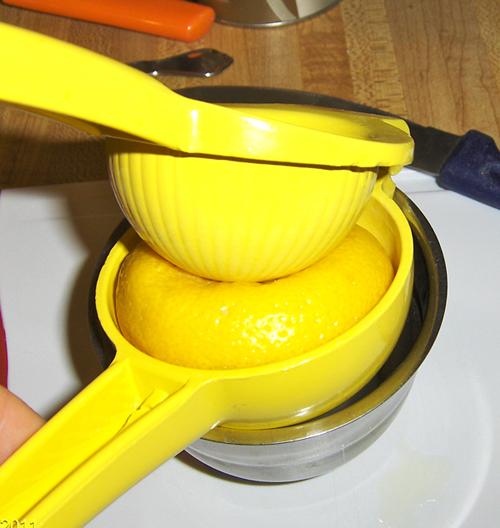 lemon squeeze2.JPG