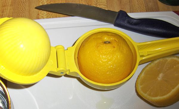 lemon squeeze 1.JPG