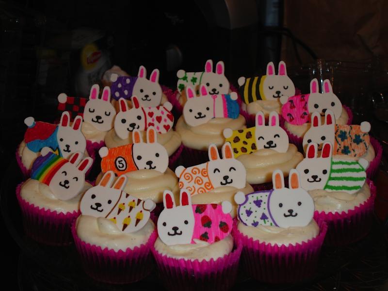 Moshi cupcakes.jpg