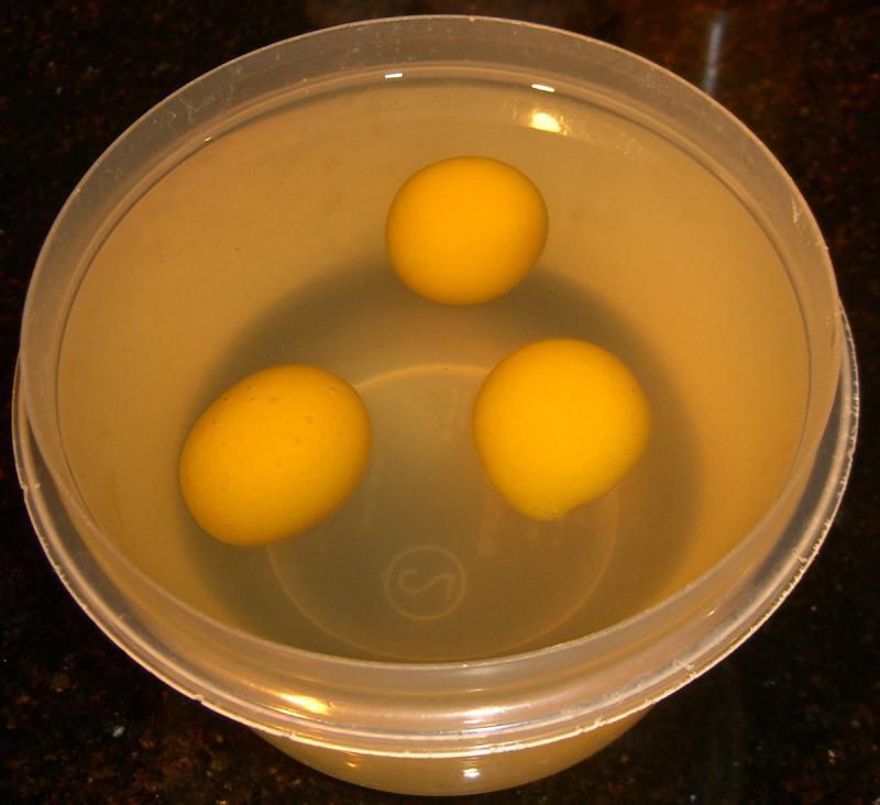 Yolk 1.JPG