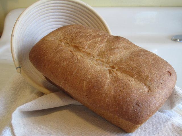 11_04 Whole Wheat Loaf_1.JPG