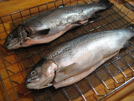 Smoked Trout 034.JPG