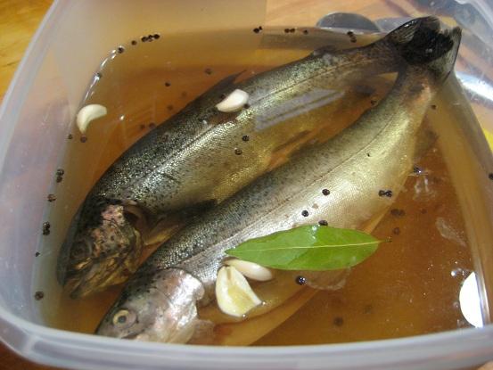 Smoked Trout 023.JPG