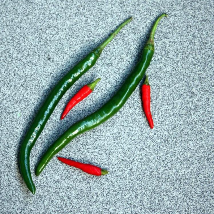 chillies.jpg