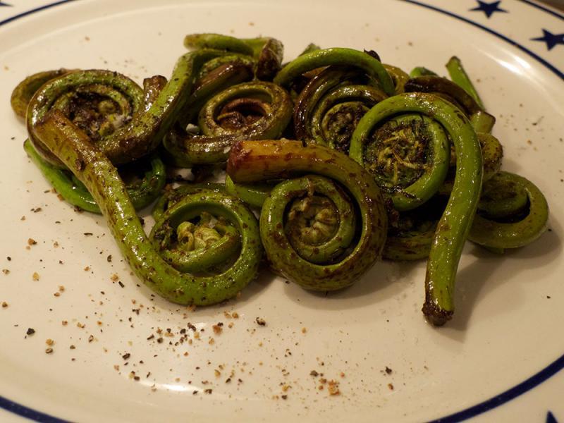 fiddleheads.jpg