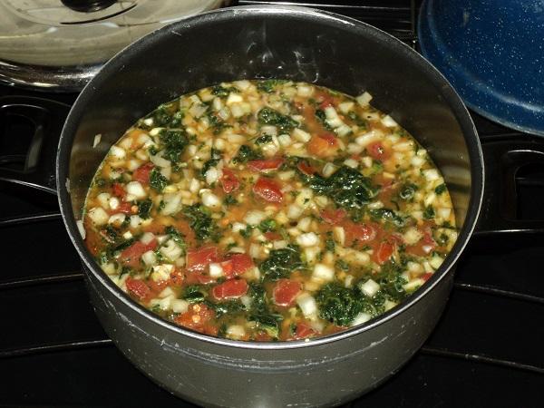 South Indian stew - simmering.jpg