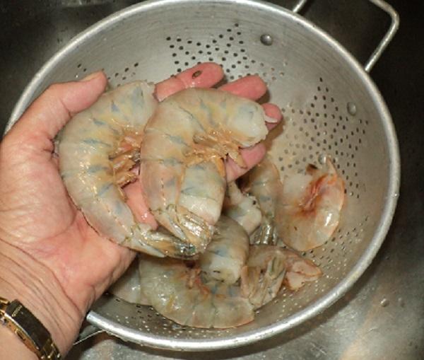 GISP Shrimp Bolivar giant shrimp.jpg