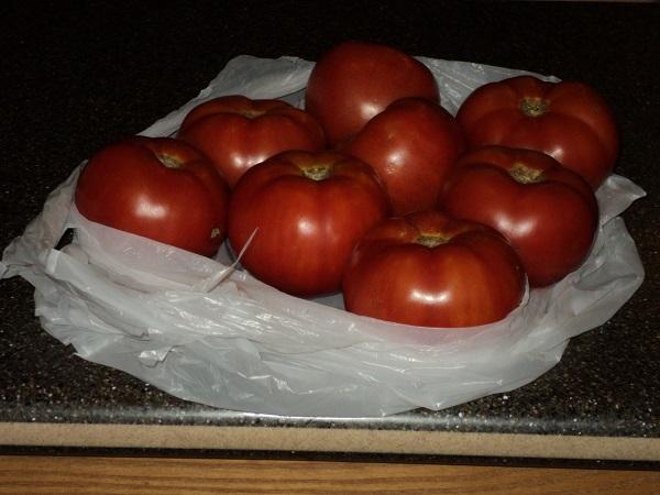 Bolivar Florida tomatoes.jpg
