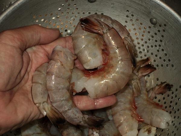 Allex's shrimp.jpg