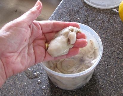 Allex's Galveston Bay oysters.jpg