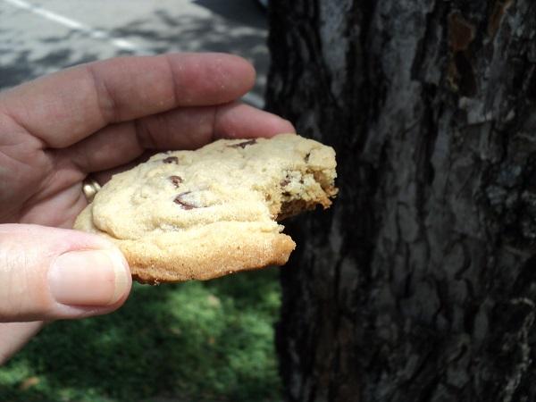 Berry St Bakery cookie bitten.jpg