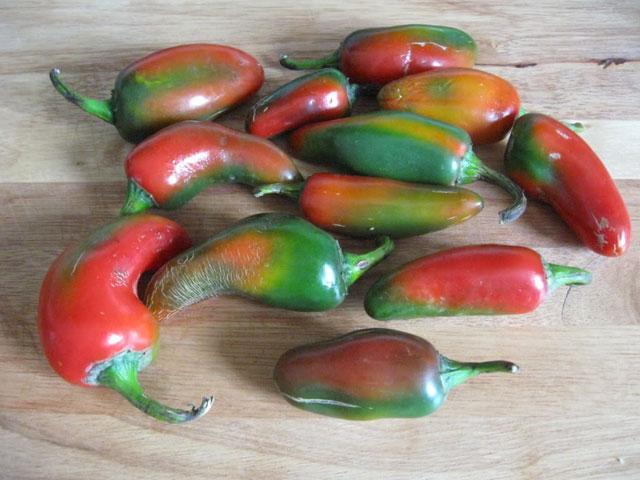 peppers-copy.jpg