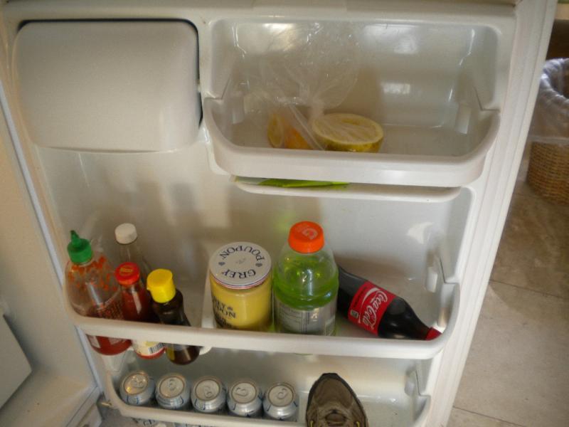 fridge door.JPG