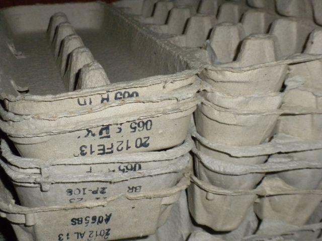 Egg cartons1.jpg