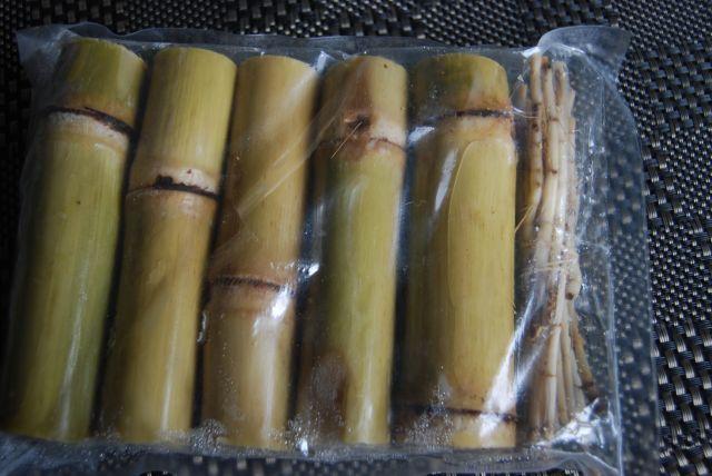 Sugar cane.jpg