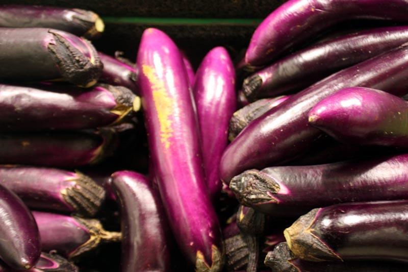 Aubergines.jpg