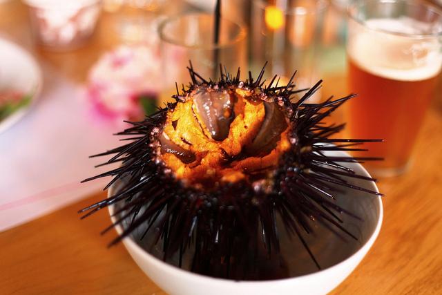 Photo2SeaUrchin.jpg