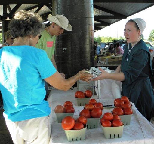 amish tomatos.jpg