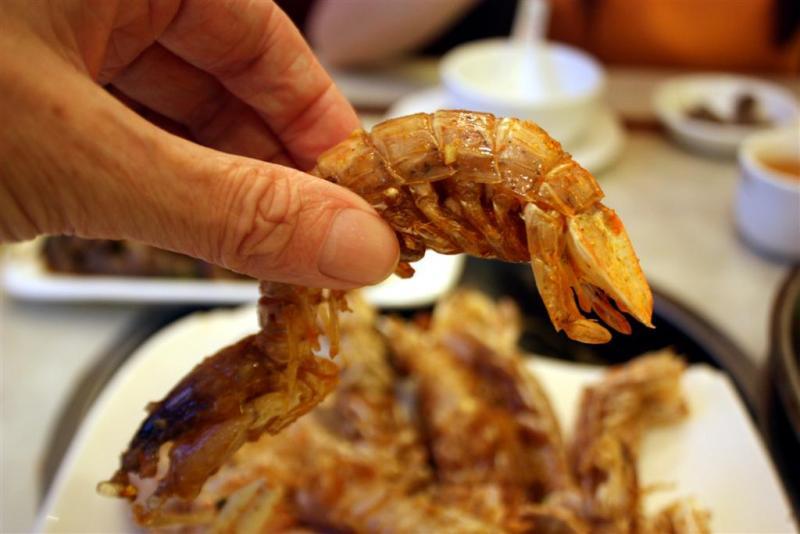 prawn (Large).jpg