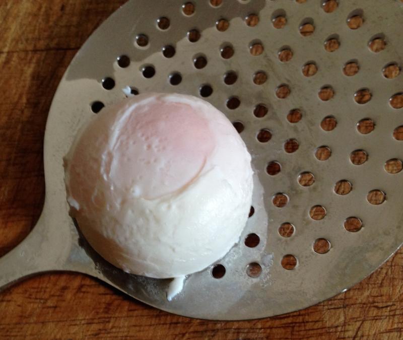 Egg (2).jpg