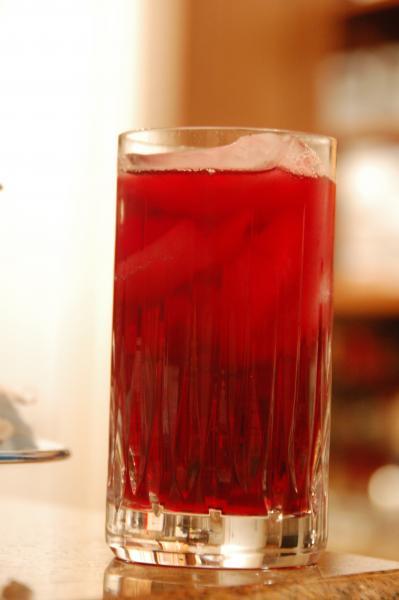 1 of 1 - Agua de Jamaica.jpg