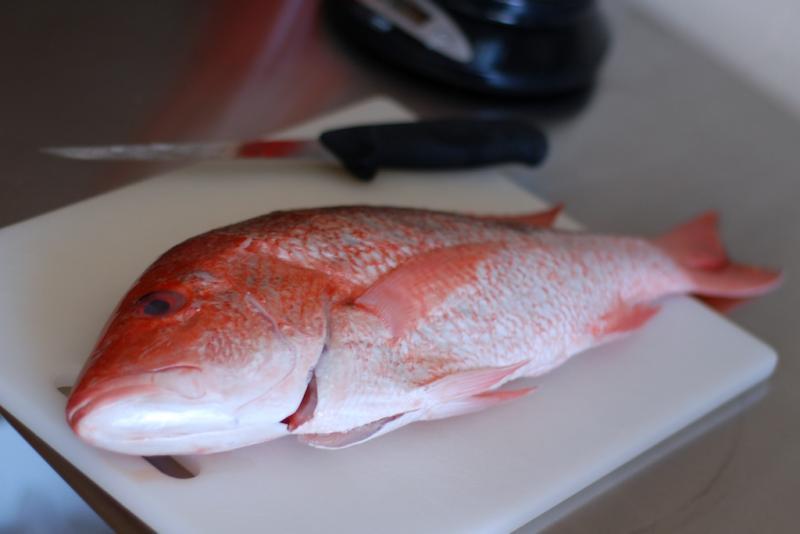 Red snapper.jpg