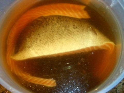 salmon in brine.jpg