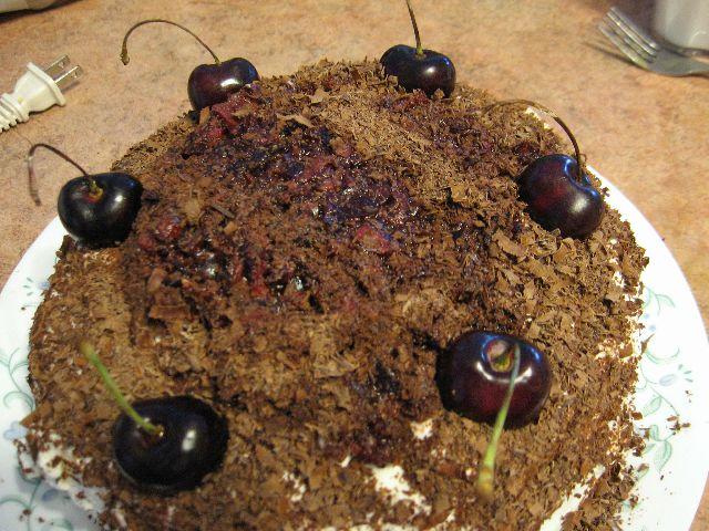 black forest cake.jpg