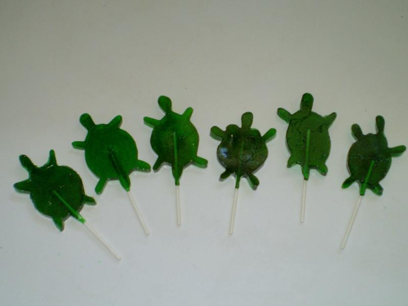 Turtles #1.JPG