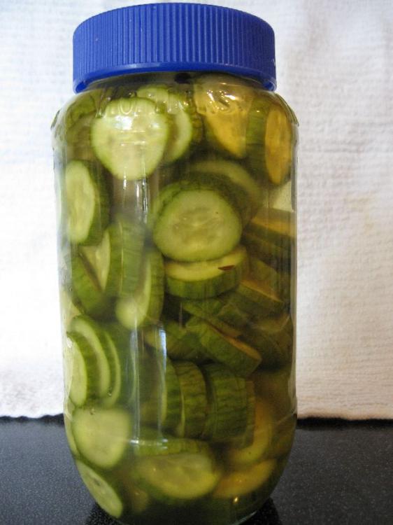 MC cucumbers.jpg
