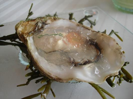 Oyster in Ice Gelee.jpg