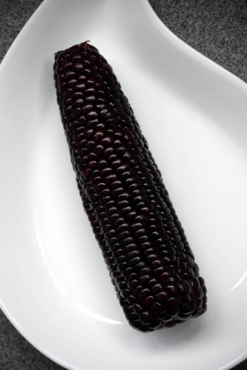 Black corn.jpg