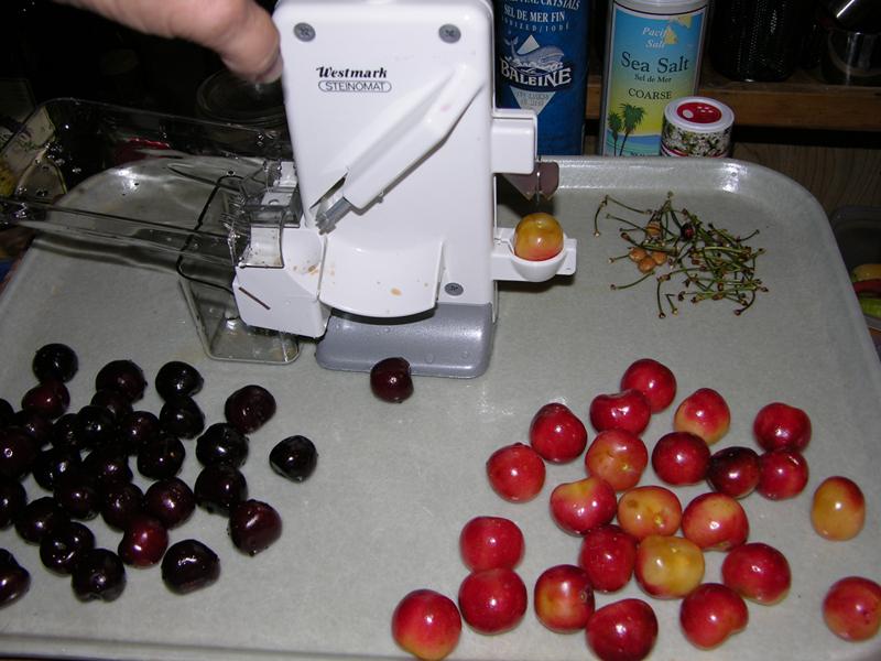 Cherry&Plum pitter.JPG