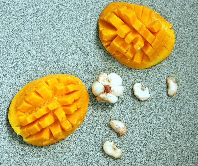 mango and mangosteen.jpg