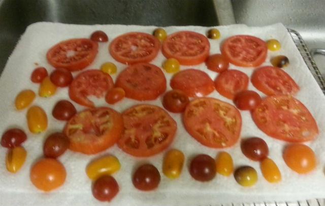 tomatoes.jpg