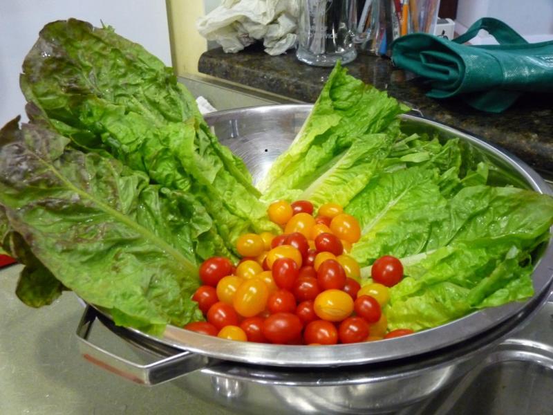 lettuce and tomatoes.jpg