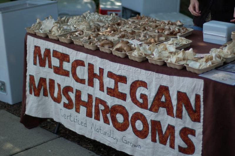 Michigan Mushrooms.jpg