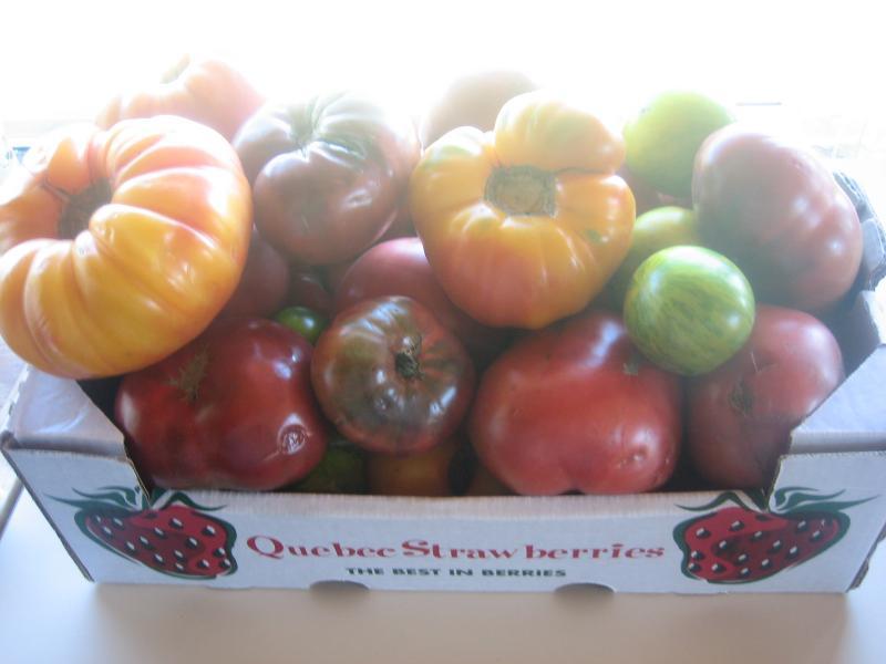 Tomato Box 1.JPG