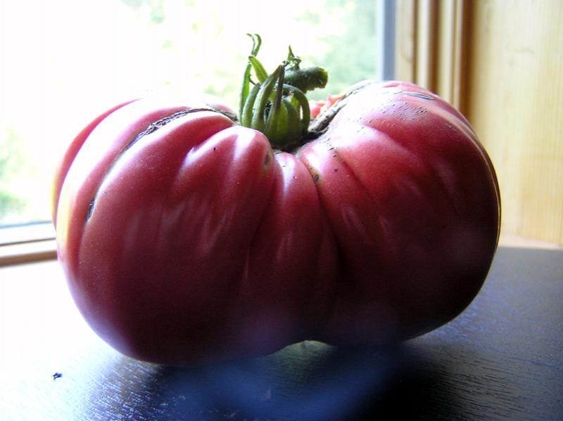 17.4 ounce brandywine tomato august 2012 (small).jpg