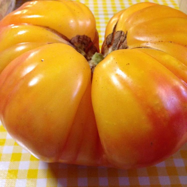 heirloom_tomato.jpg