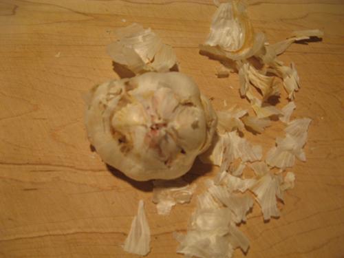 garlic005.jpg
