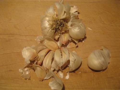 garlic010.jpg
